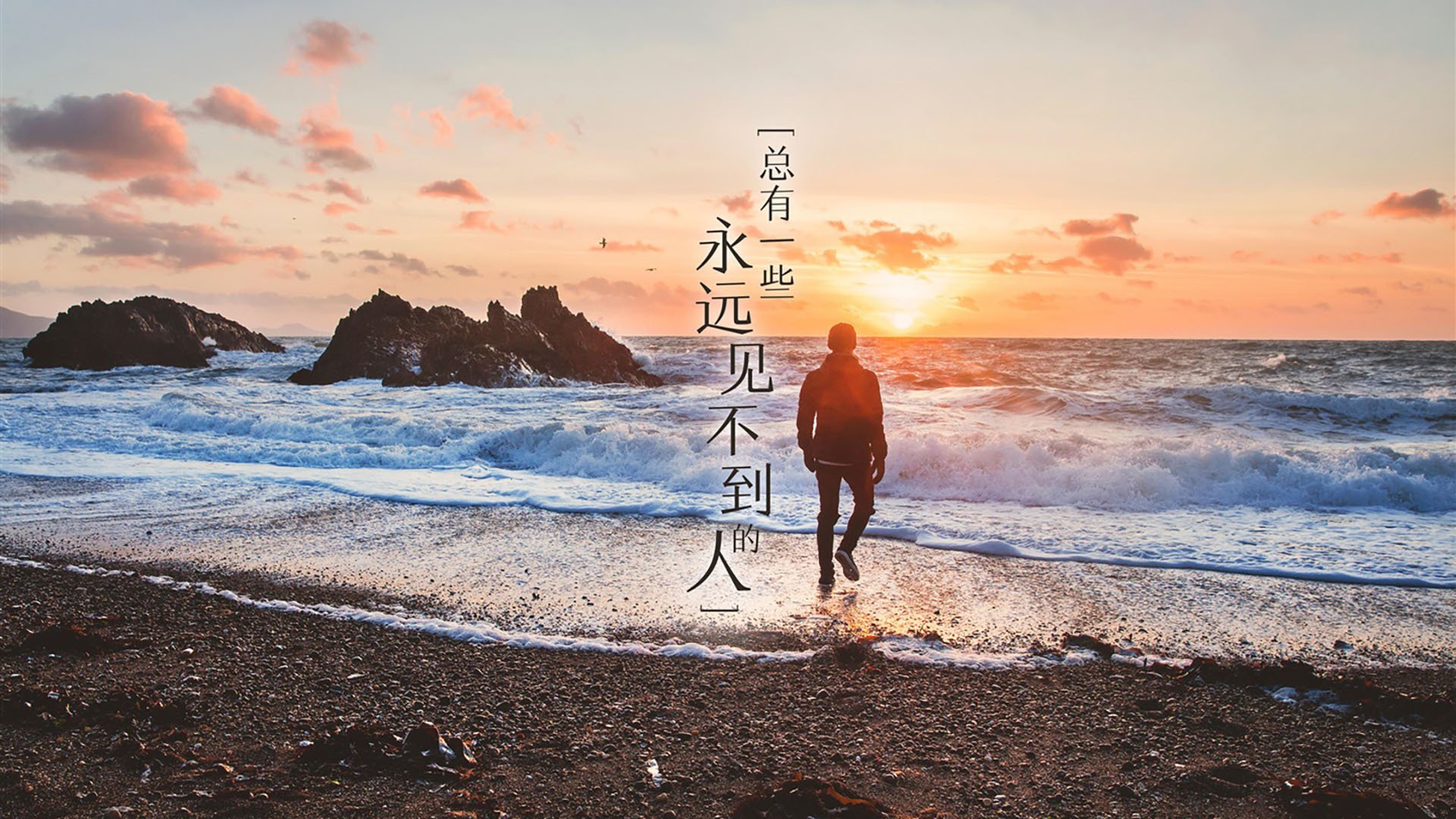 双星闪耀,足球的多元面孔,萨拉赫的坚持与厄瓜多尔的反叛