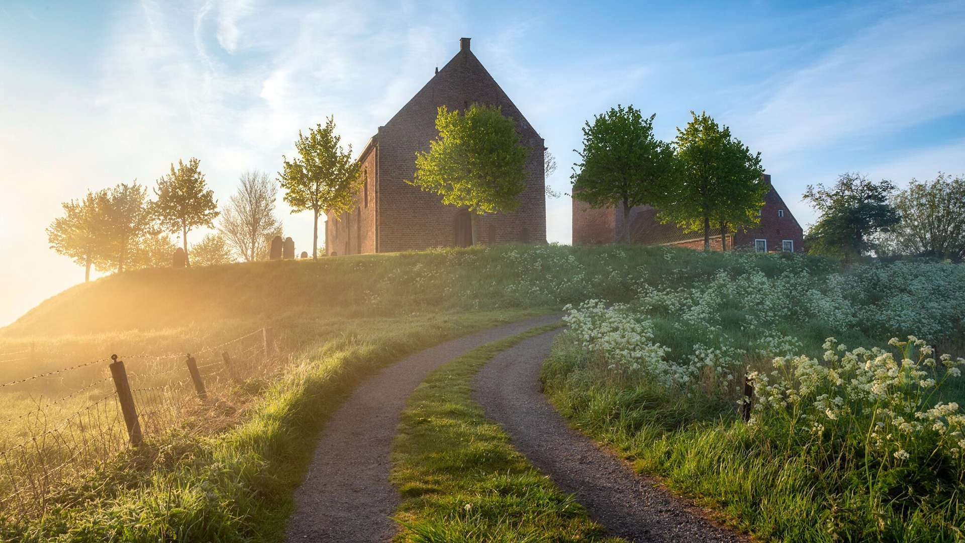 双星闪耀,足球的多元面孔,萨拉赫的坚持与厄瓜多尔的反叛